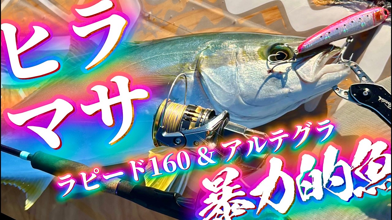 【トップで狙う青物】ラピードとアルテグラでヒラマサを釣る！サワラやブリも水面爆発！