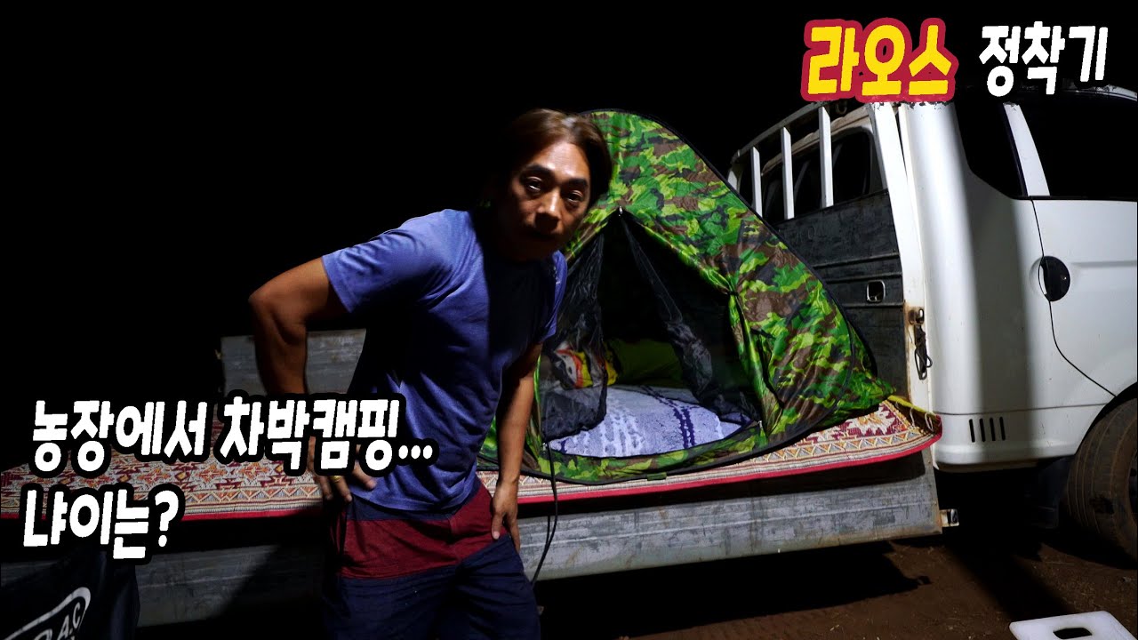 ep405 농장정리, 냐이는...