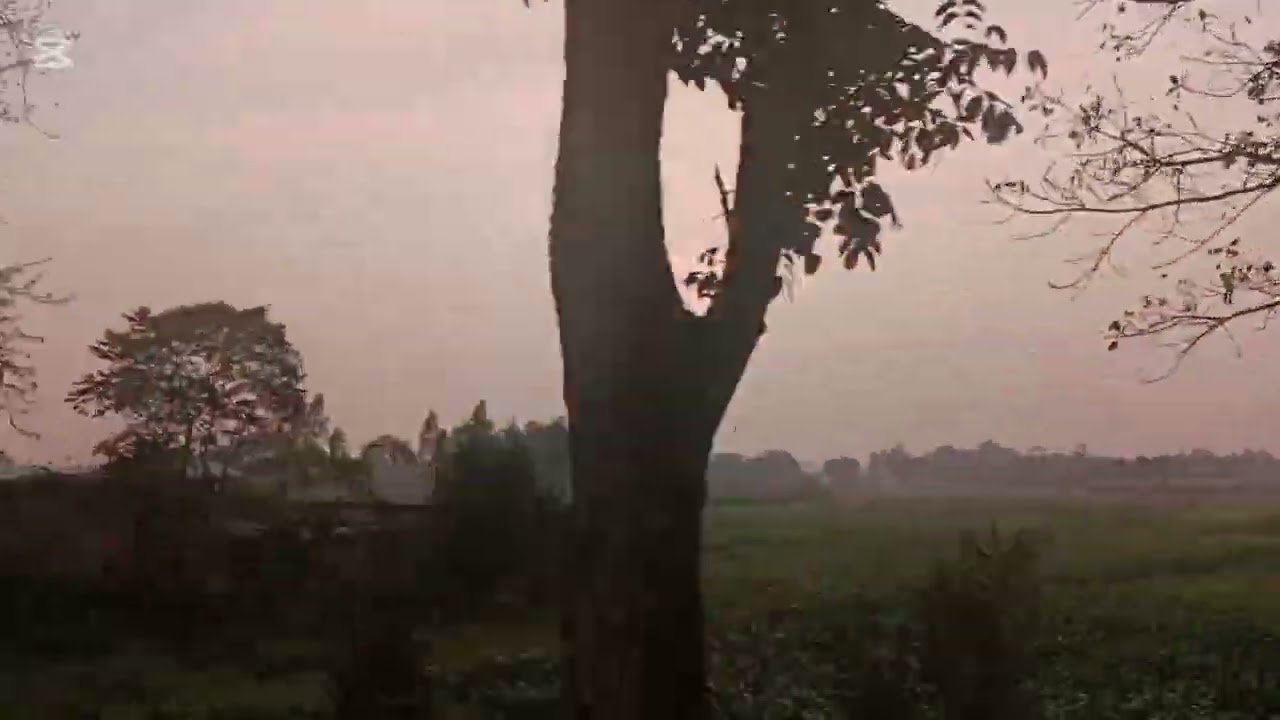 মিম কেন ফুফুর বাড়ি থেকে যেতে চাইছে না?