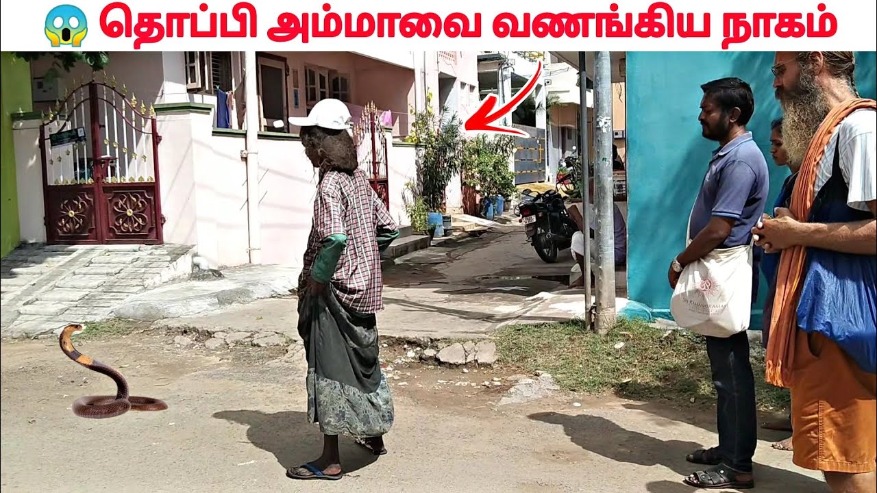 💢😳 தொப்பி அம்மாவை வணங்கிய நாகம் 🐍 | డ్రాగన్ టోపీ తల్లిని పూజించింది | Thoppi Amma Tiruvannamalai