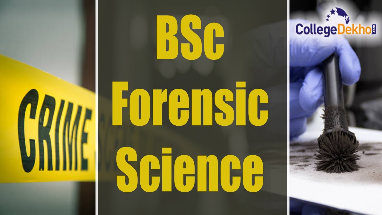 BSc Forensic Science Course | CollegeDekho