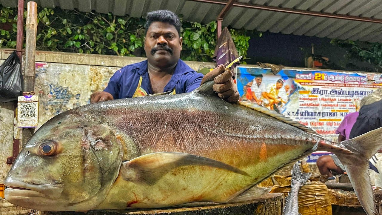 KASIMEDU 🔥 SPEED SELVAM | GIANT TREVALLY FISH CUTTING VIDEO | 4K VIDEO | KM FISH CUTTING |INKASIMEDU