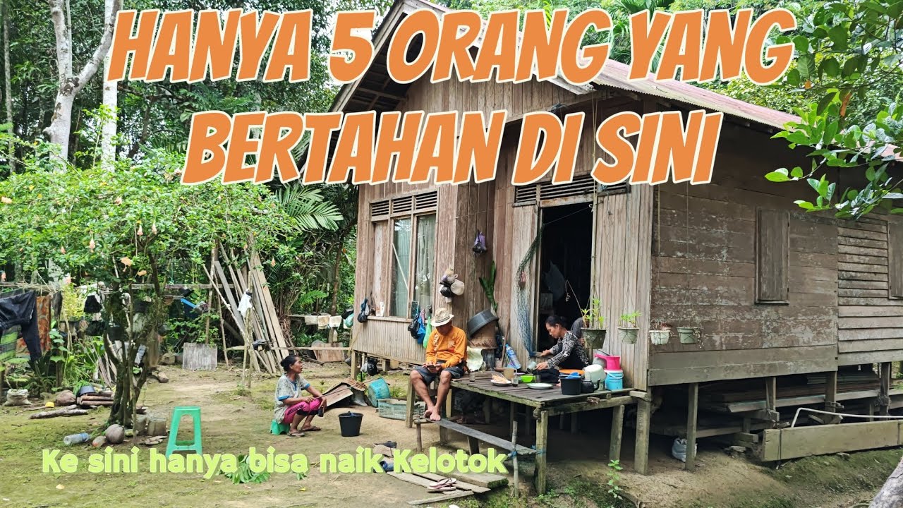 Kehidupan Kampung Tua Suku Dayak yang Dihuni 2 Rumah Saja. ANSEM TEBU, Kalimantan Tengah. 