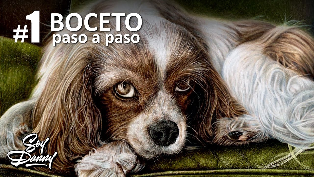 Cómo Dibujar un PERRO hiperrealista con lápices de COLORES | El Boceto | 1 de 5  | Soy Danny