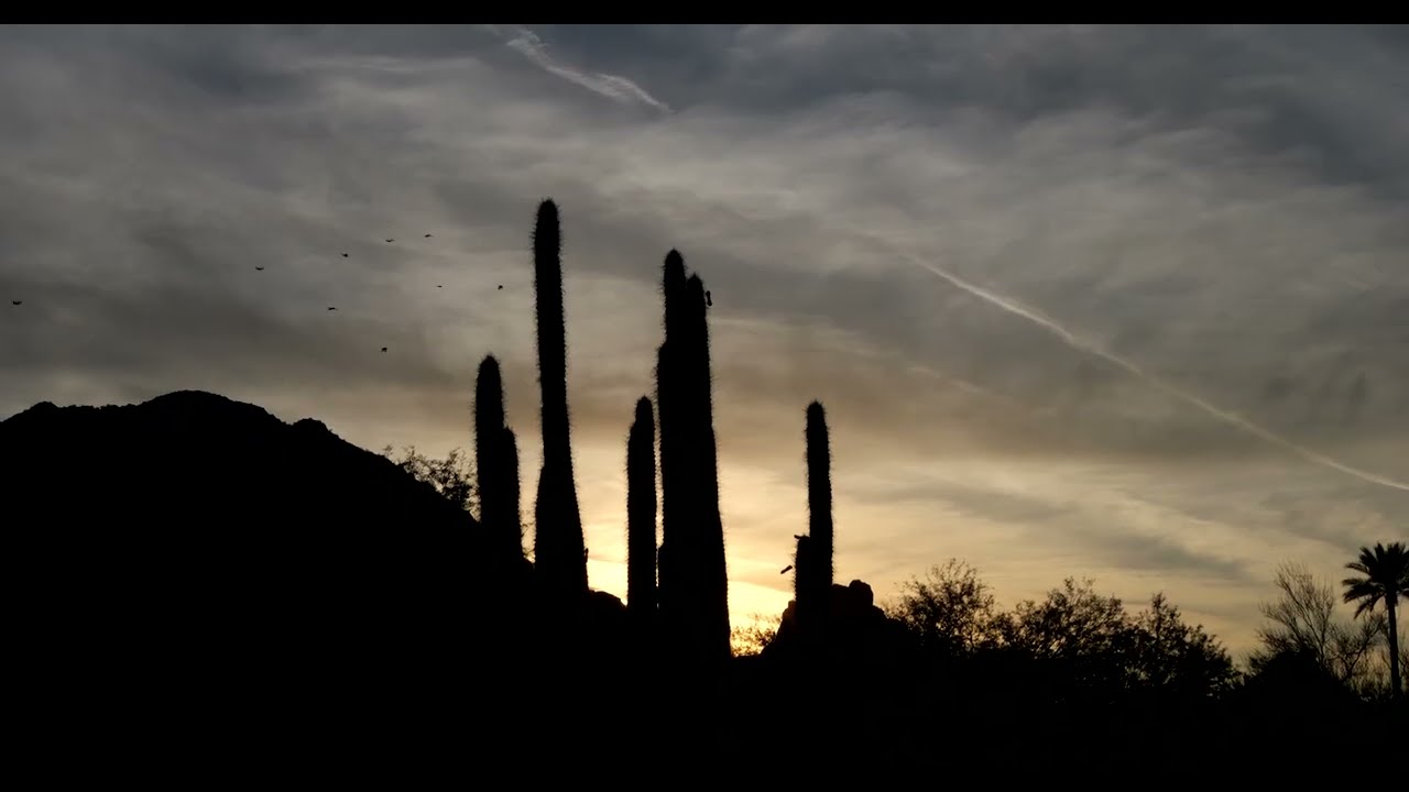 Arizona Vacation - Highlight Reel (November 2023)