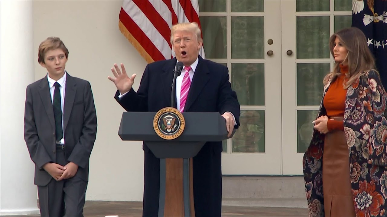 WATCH: President Trump pardons his first Thanksgiving turkey