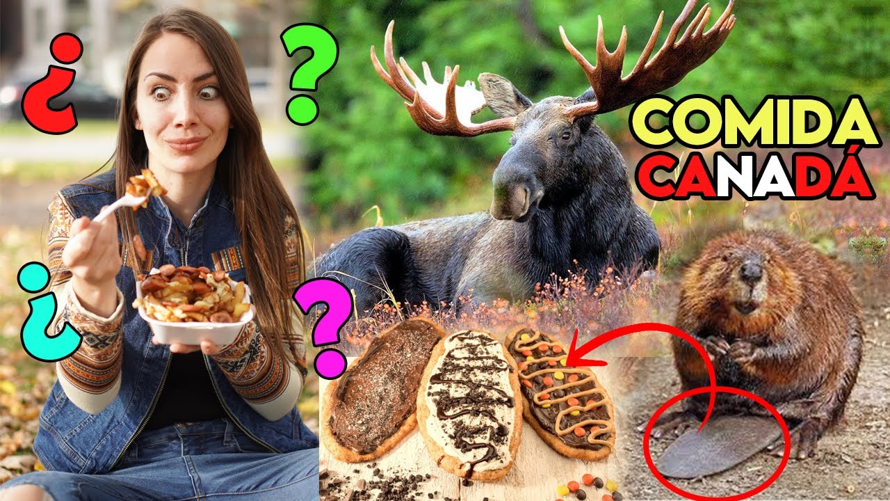 ¿ESTO COMEMOS EN CANADÁ? 😲 Gastronomía y comida callejera 🇨🇦
