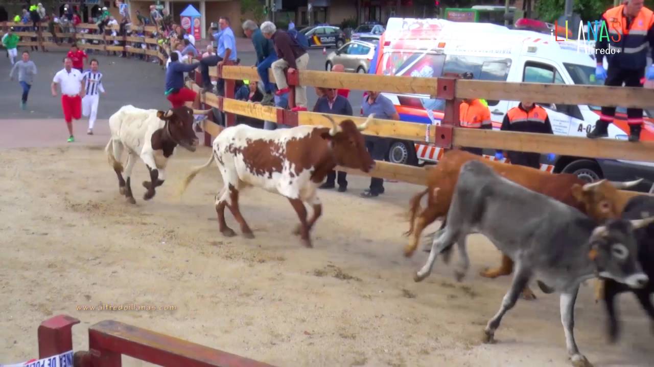 Cuarto encierro de las fiestas de Móstoles (14-09-16)