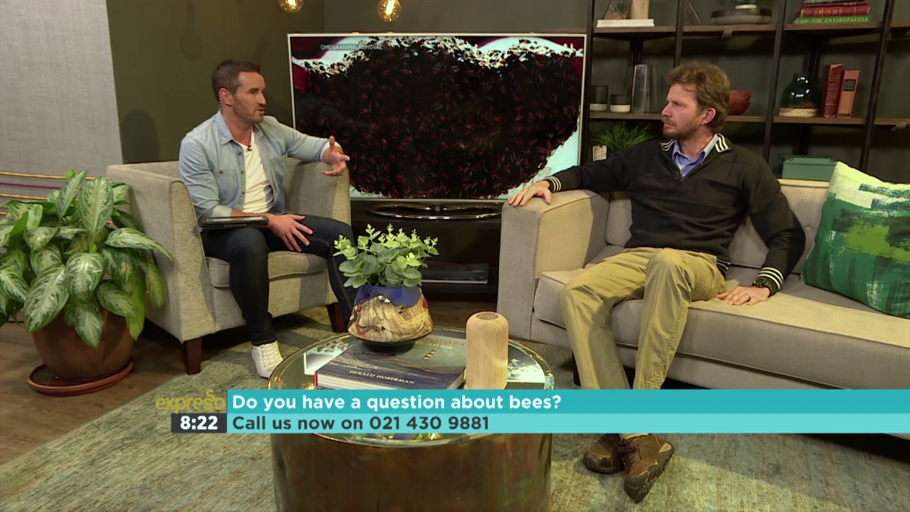 Into the Wild – African Honey Bees