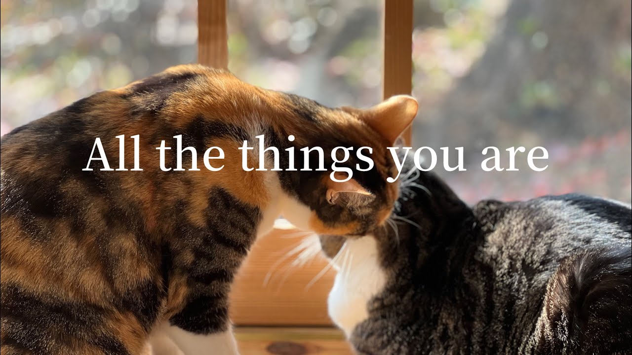 【Solo piano】All the things you are (2026.1.23)