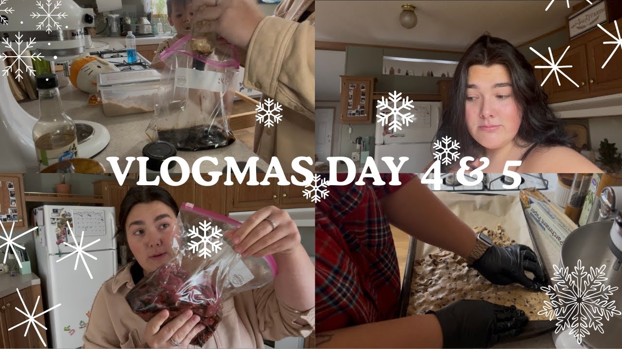 kitchen aid to the rescue, deer jerky marinade, cookie meltdown, and STRESSED | VLOGMAS DAY 4 & 5