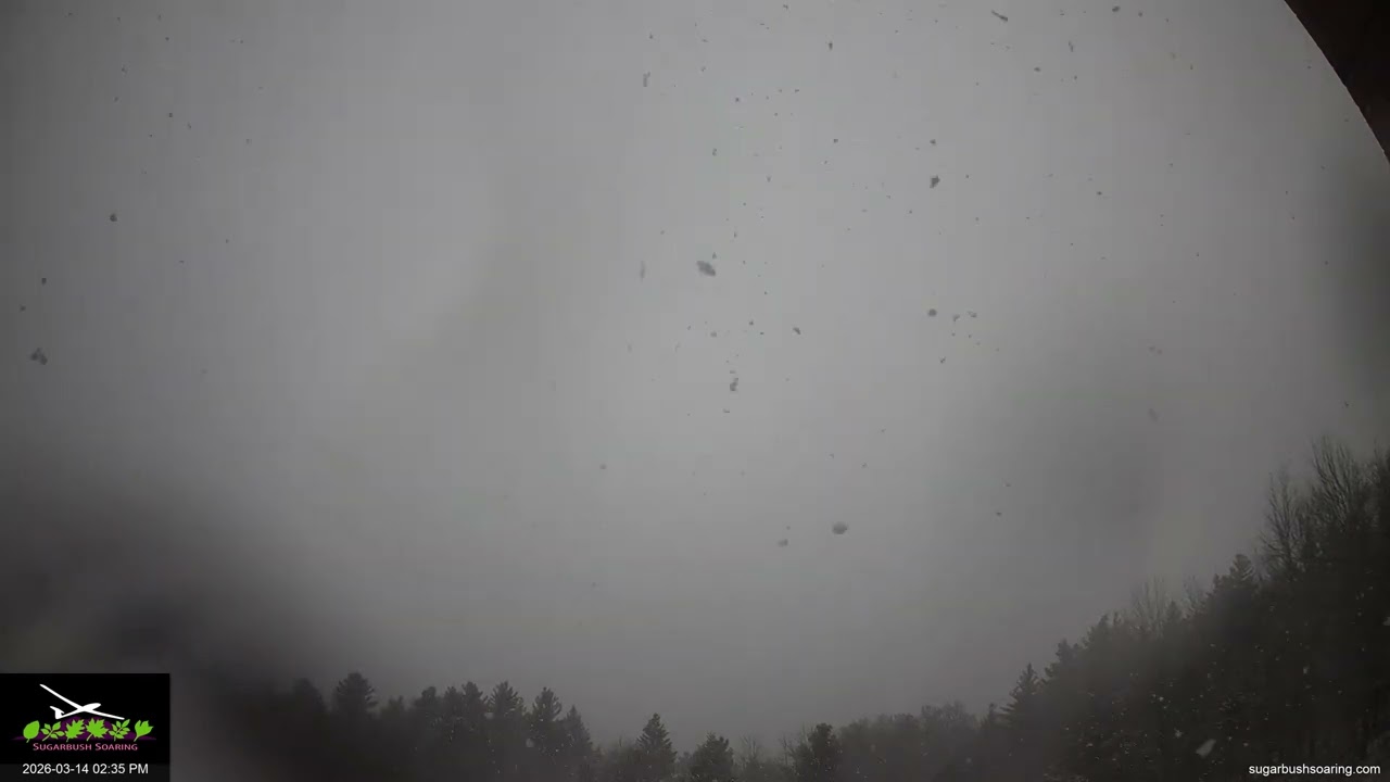 WaveCam 2026 03 14