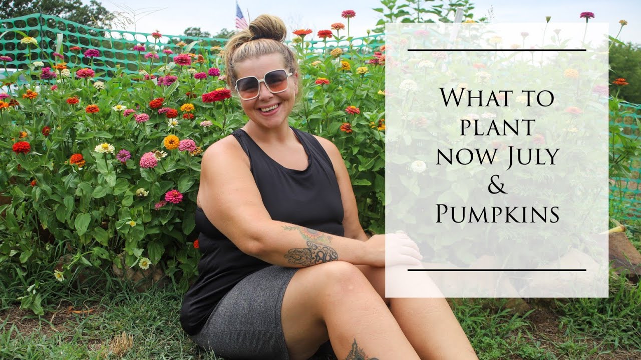 Oklahoma Pumpkins in July & What to plant now