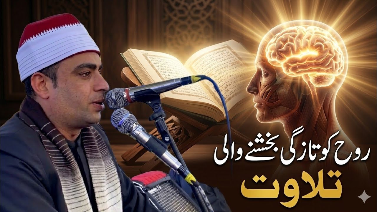 Refreshing Quran Recitation That Revives the Soul | Mesri Young Qari Tilawat
