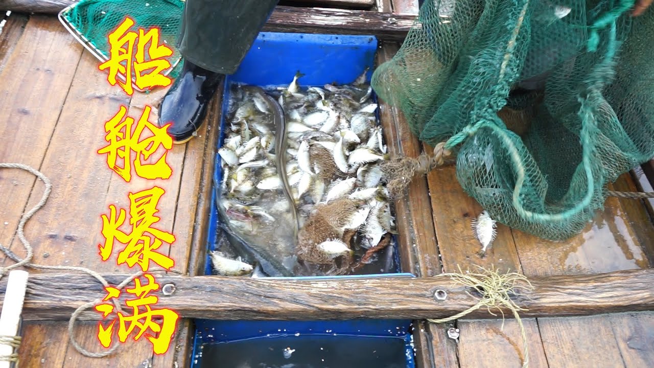 刮大风后阿兴夫妻俩出海收网，船舱直接装满渔获，场面太壮观了