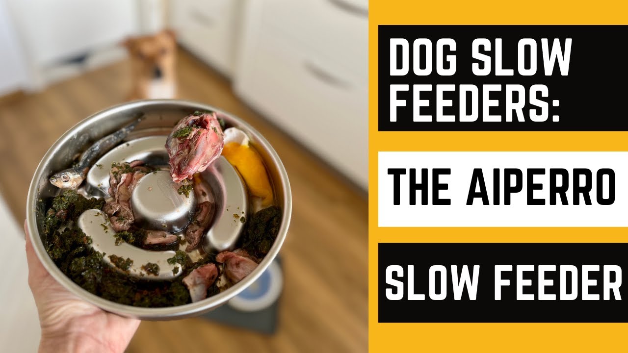 RAW DOG FOOD Served in this Stainless Steel Dog Slow Feeder