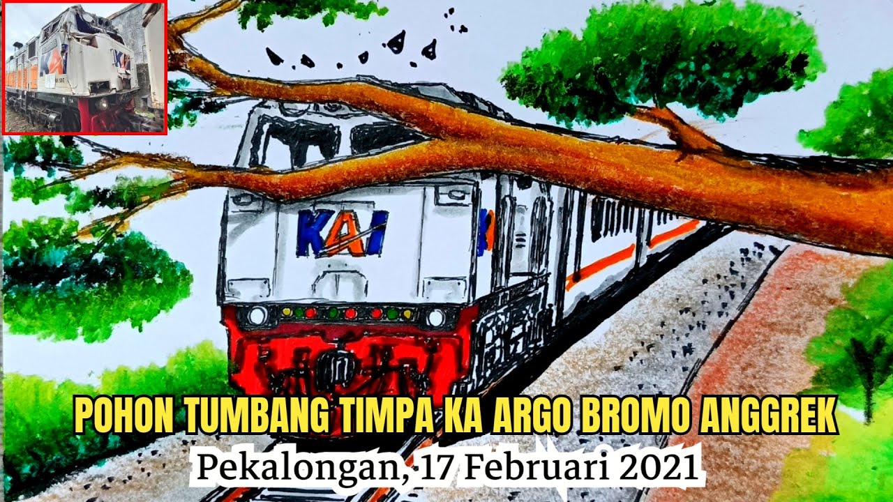 KA ARGO BROMO ANGGREK TERTIMPA POHON TUMBANG DI PEKALONGAN#menggambar #keretaapi #railfan 