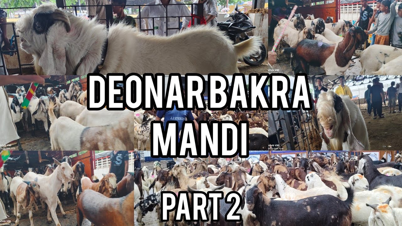 Deonar Bakra Mandi Mumbai  part 2 complete tour of day 1 Deonar 26/05/2025