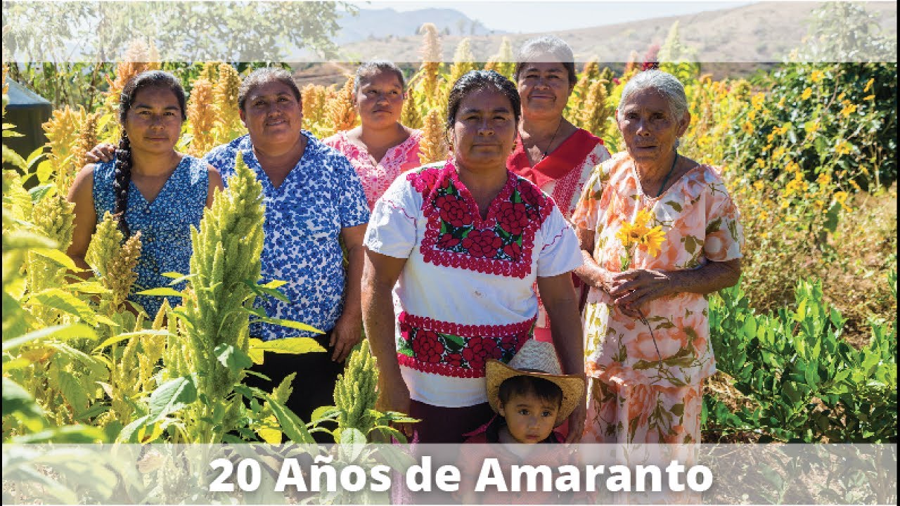 Amaranto 20 años