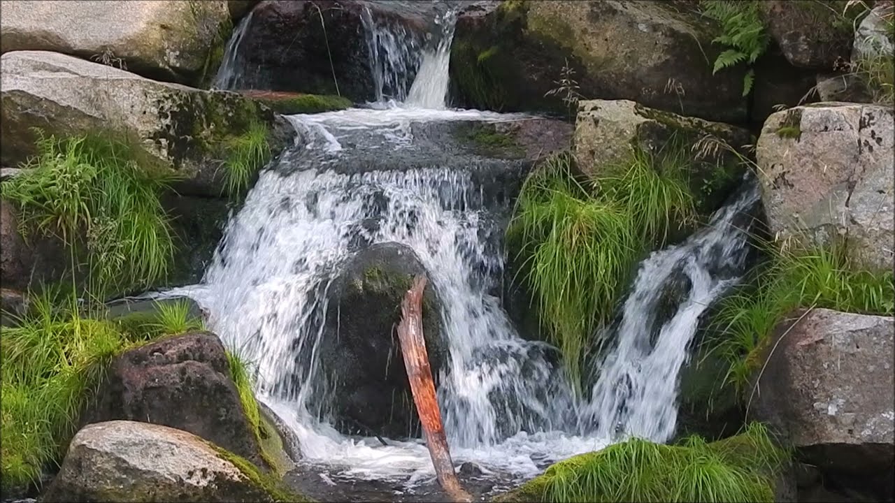 Harz- Unterwegs am und auf dem Wurmberg (4K)