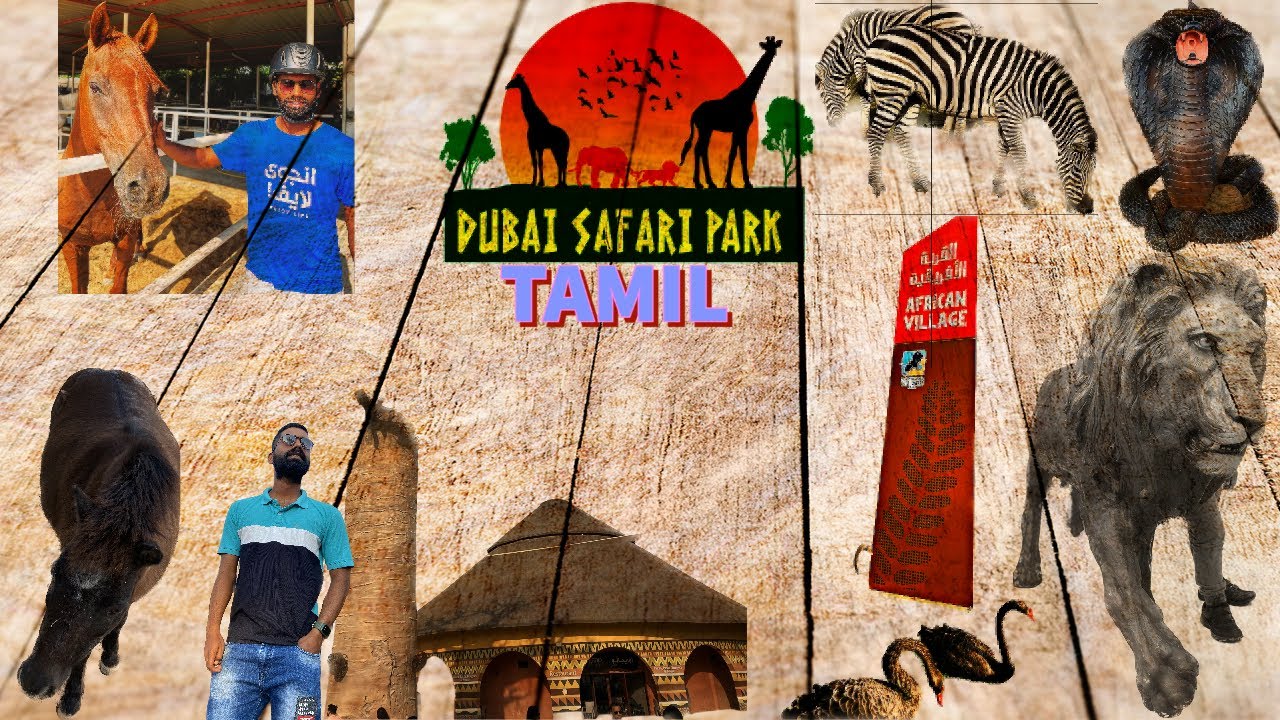 DUBAI SAFARI PARK TAMIL | UAE | |DUBAI | #dubaisafaripark #tamilbloggers #safaripark #animalworld