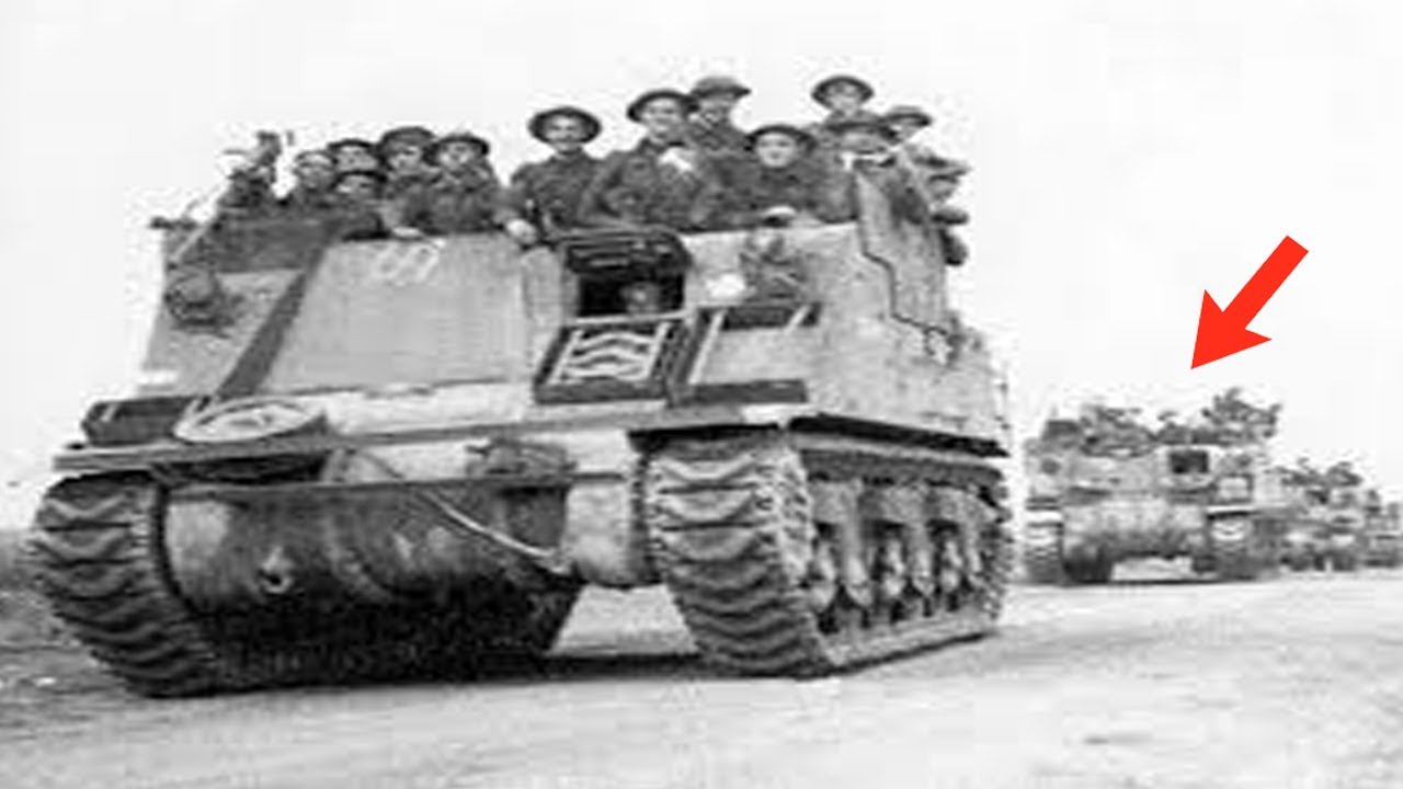 The Kangaroo: When Military Innovation Defied Every Rule