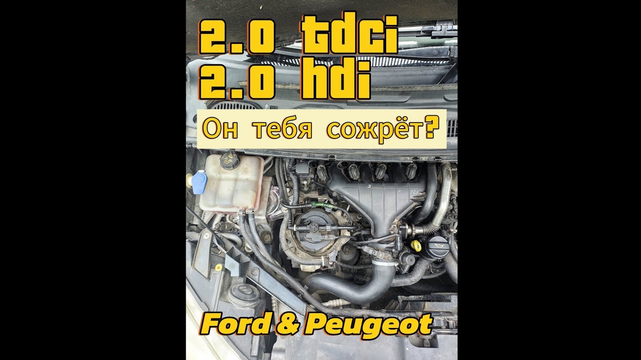 Обзор двигателя Ford 2.0 TDCi & PSA 2.0 HDi