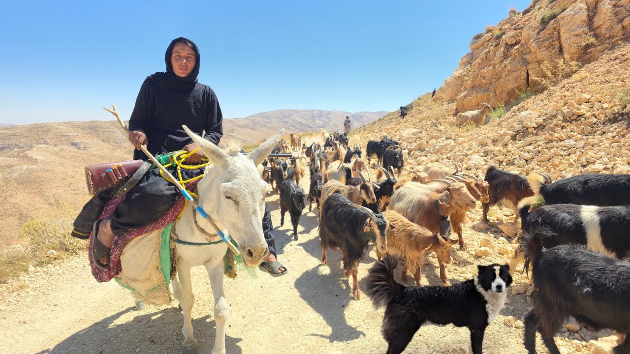 Nomadic Migration Begins 🏔️ | Sita&rsquo;s Mountain Journey & Real Survival in Iran
