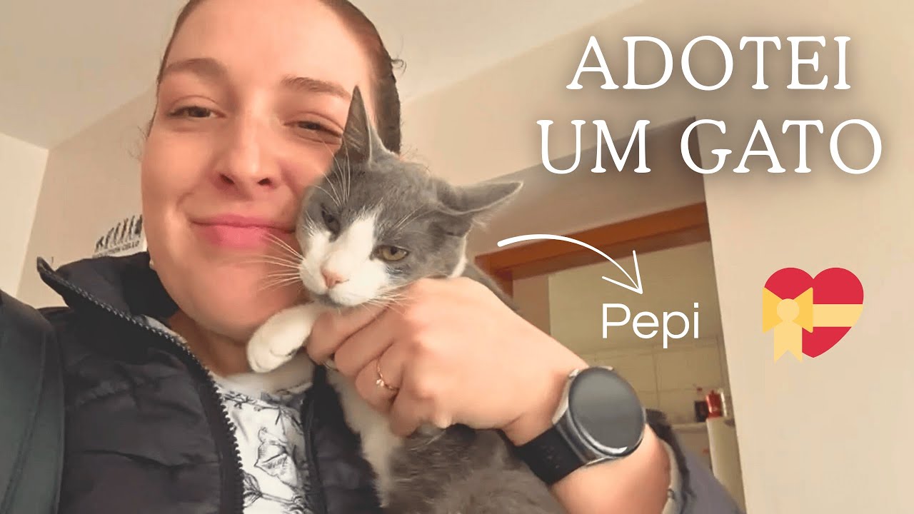 🐈ADOTEI UM GATO: preparação, primeiros dias, minha experiência