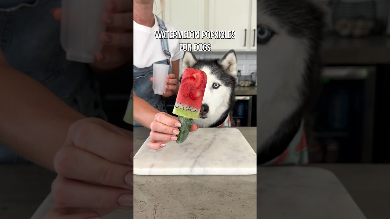 Homemade Watermelon Popsicles for Dogs!