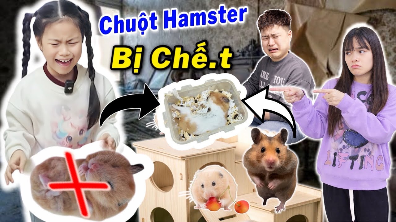 Chuột Hamster Bị CHẾ,T Quỳnh Nhi Khóc Nức Nở Thương Bé Chuột