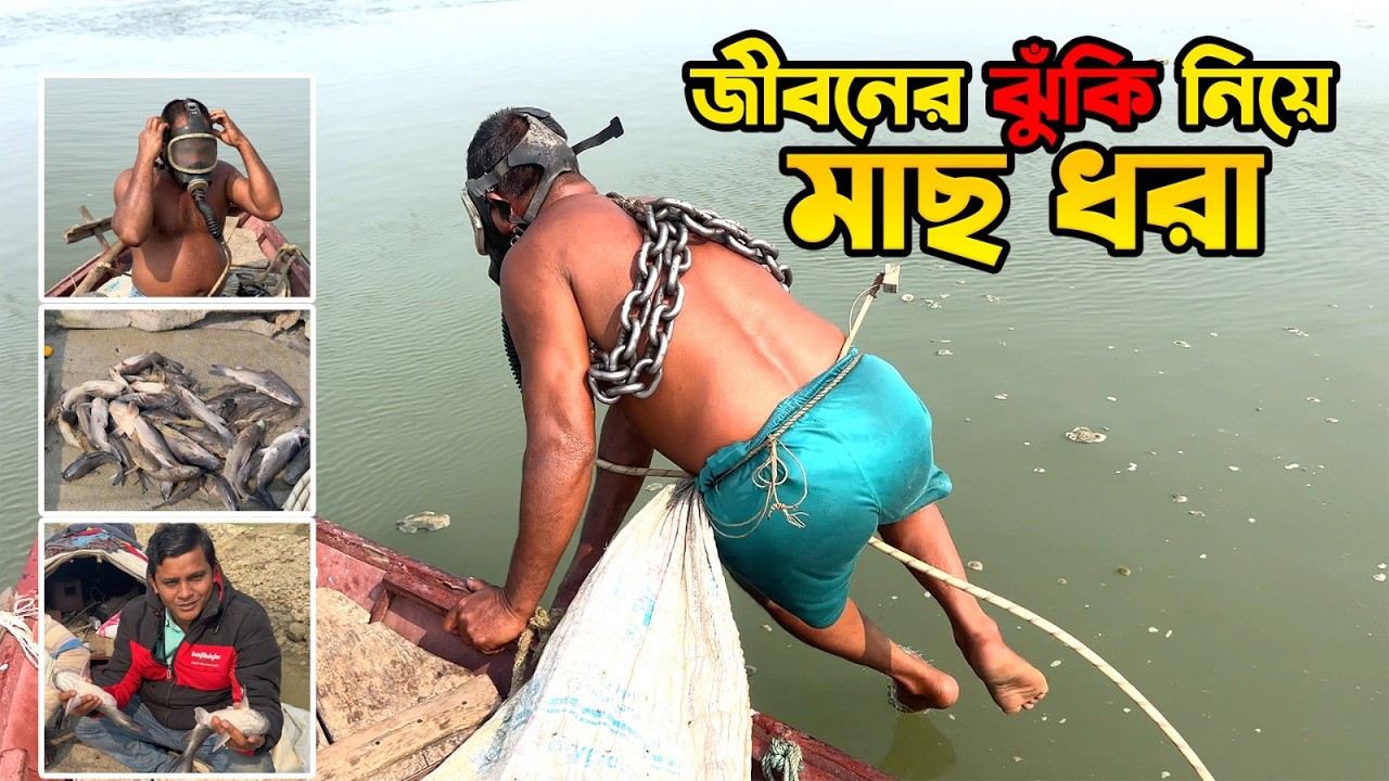 পদ্মা নদীতে ডুবিয়ে মাছ ধরার অভিনব কৌশল ।  An Unique Fishing In The Padma River