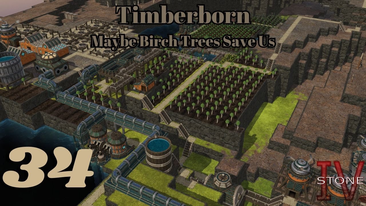 Возможно, березы спасут нас | Timberborn 2234