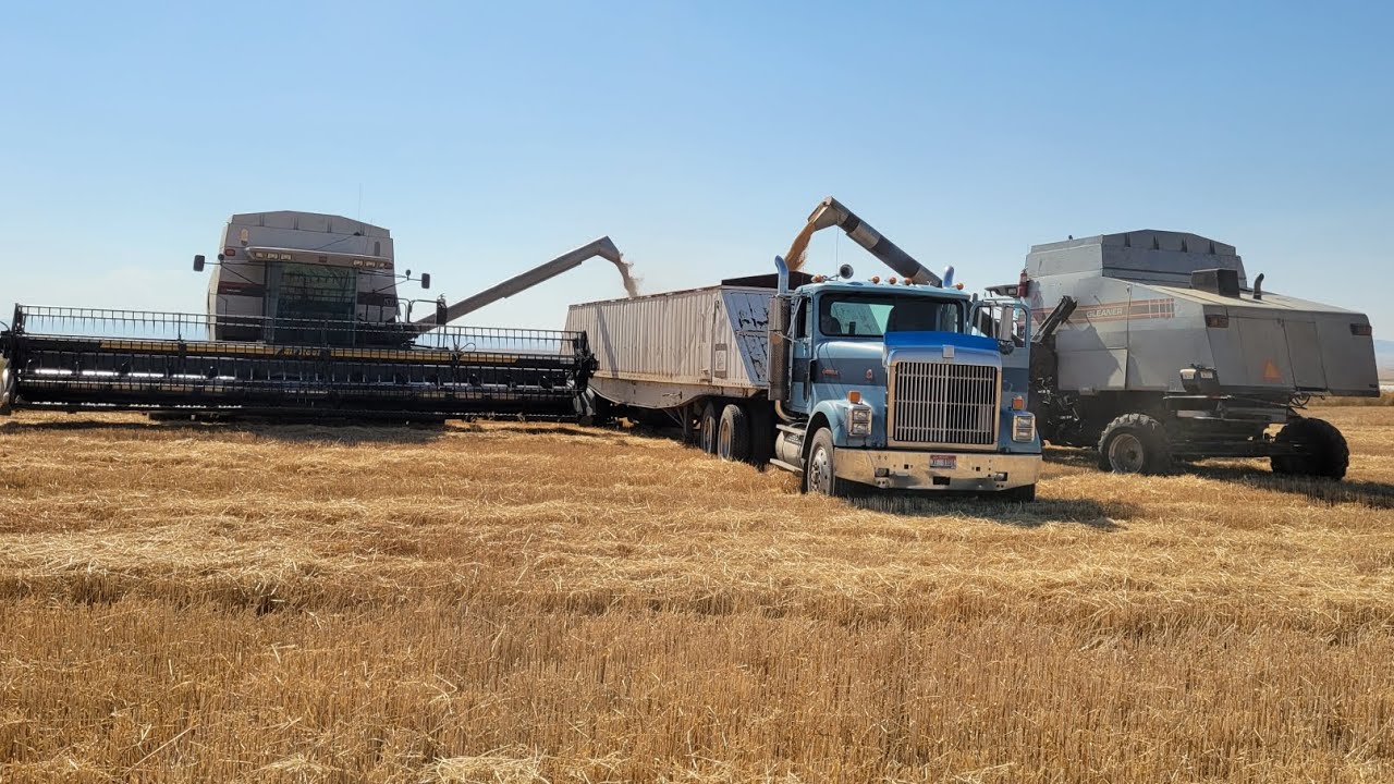 Harvesting With Two R72 Gleaners on 8-F Farms