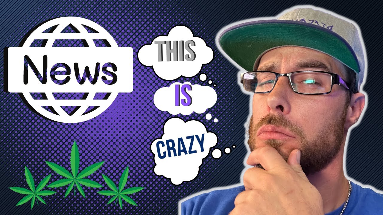CannaNEWS | Crazy World of Weed