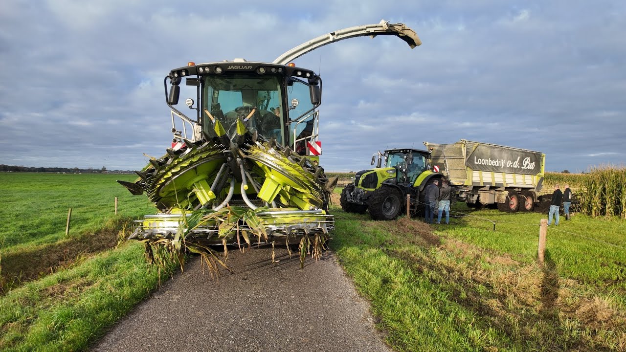 Mais2025 mudding loonbedrijf vd put oosterwolde maïshakslen 