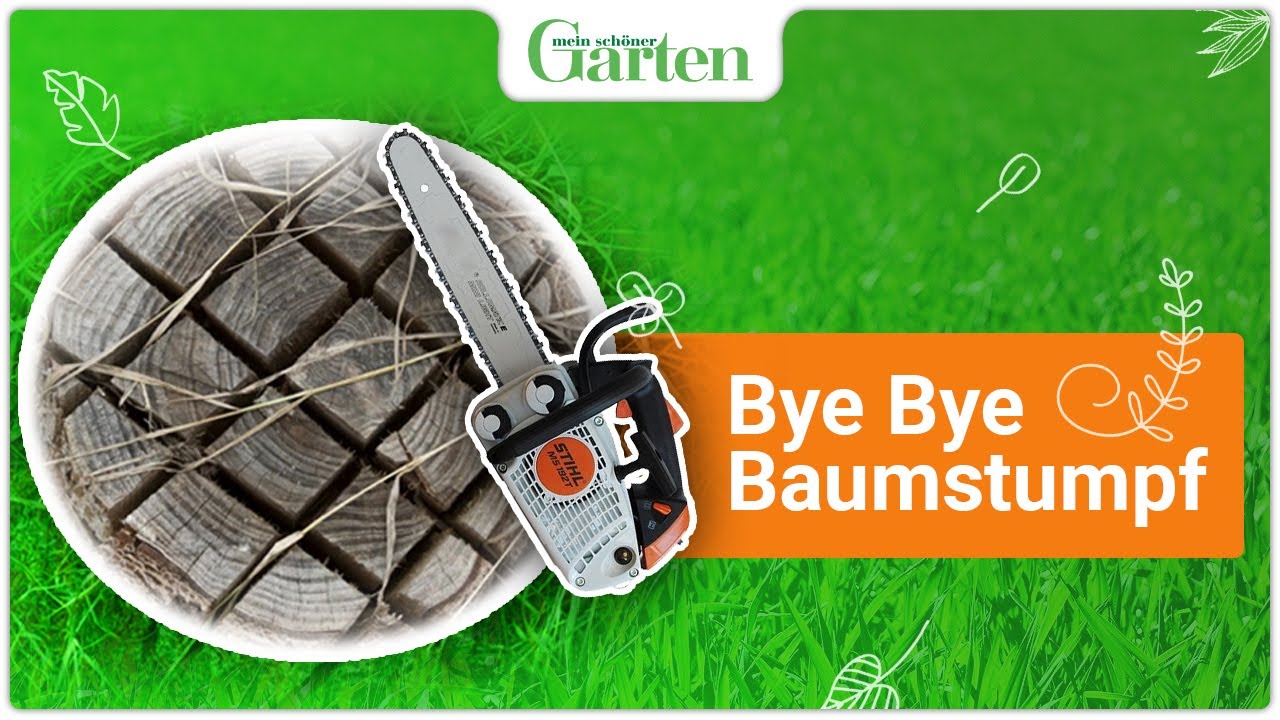 Baumstumpf entfernen: So geht&rsquo;s ohne Ausgraben!
