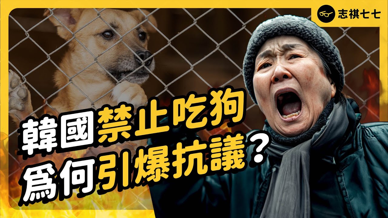 吃狗肉是韓國「傳統文化」？南韓政府全面禁止狗肉，為何會引發抗議？｜志祺七七