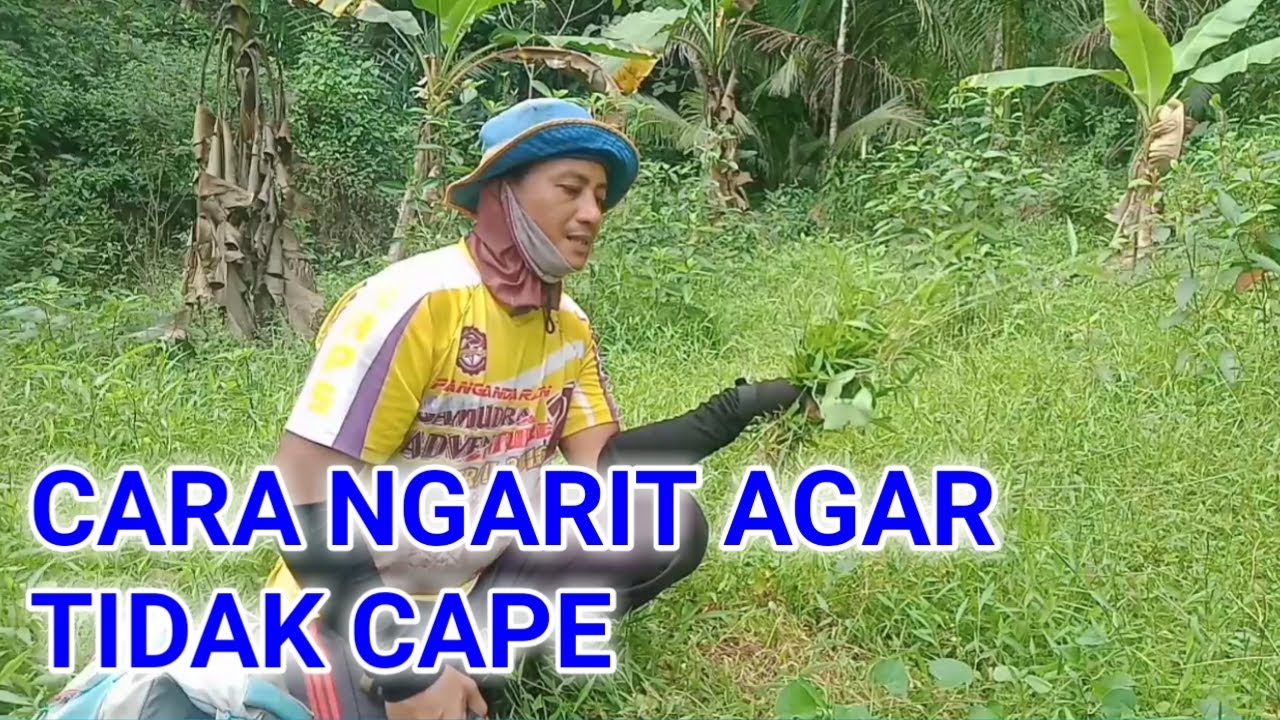 Cara Ngarit Rumput Dengan Mudah Dan Cepat Agar Tidak Mudah Lelah Untuk Pemula