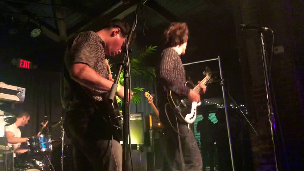 Neon Roses - The Technicolors