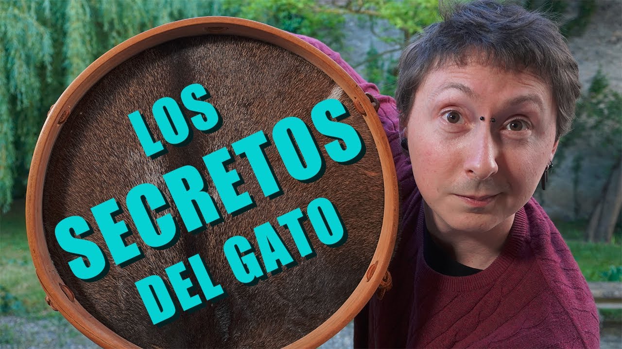 Características del Gato (folclore argentino)