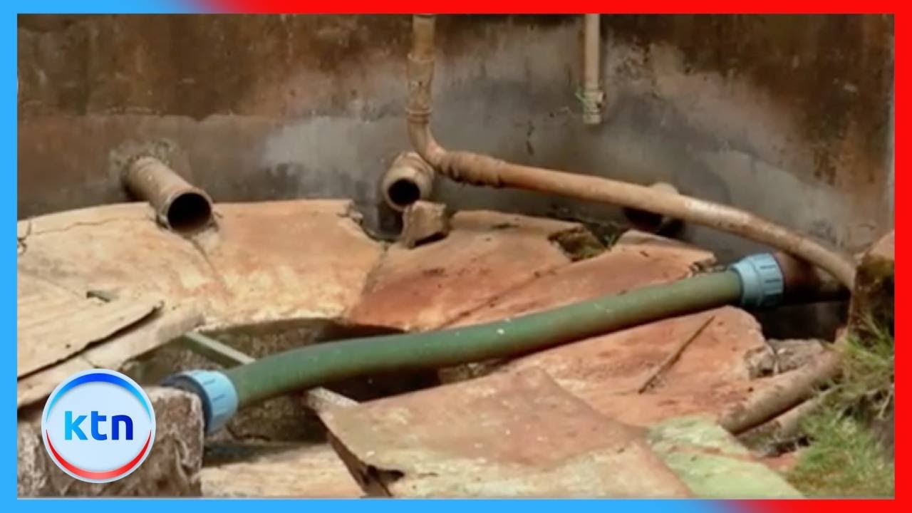 Coffee bean processing methods || Farm Kenya