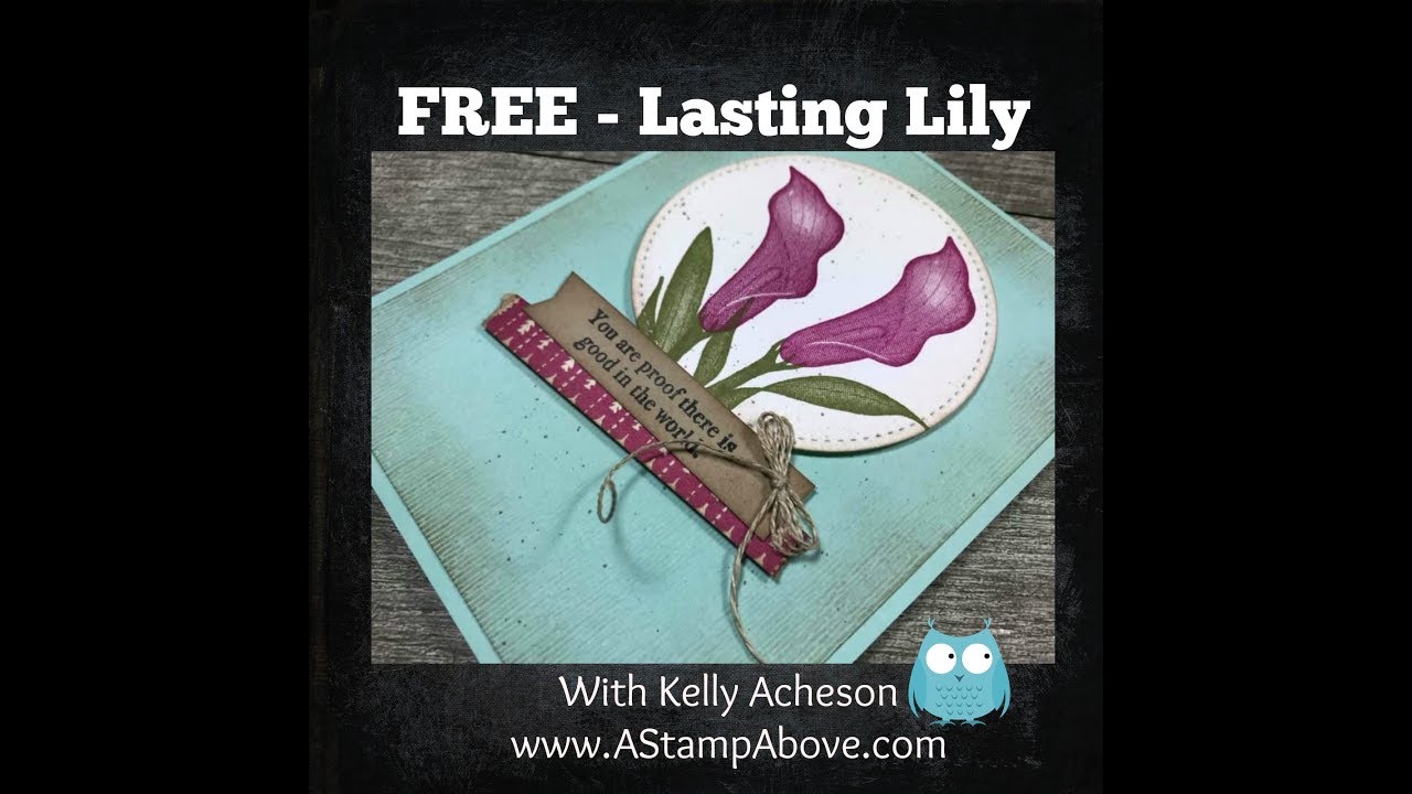 Lasting Lily