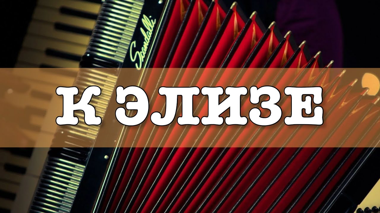 К Элизе на аккордеоне