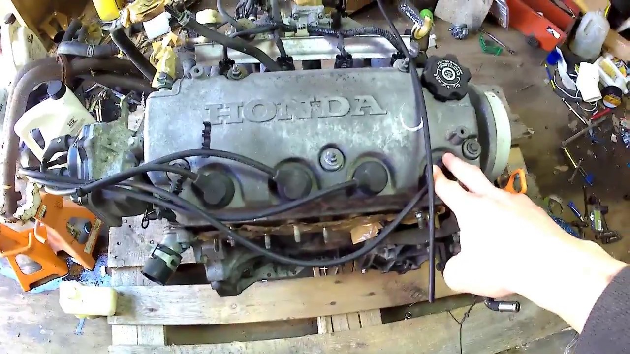 NEW PROJECT! EF Civic- Part 1