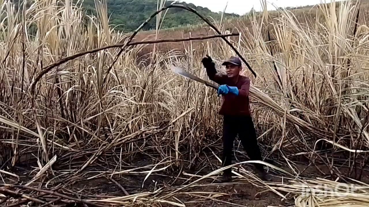 Mais um dia de trabalho