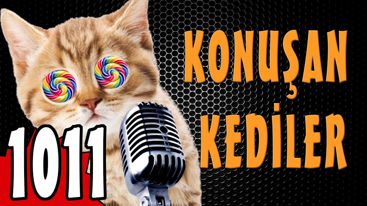 Ramazan Bayramı &Ouml;zel - Konuşan Kediler 1011 - Yeni B&ouml;l&uuml;m