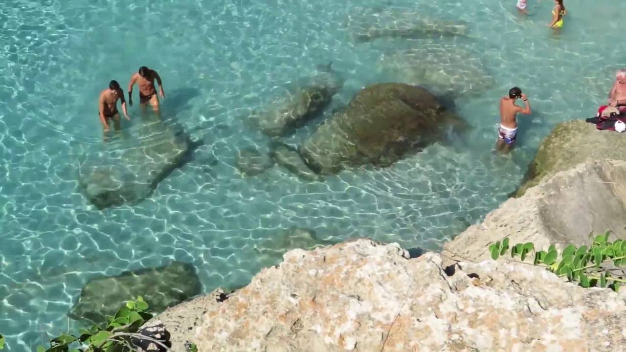 FAVIGNANA DONO DI NATURA