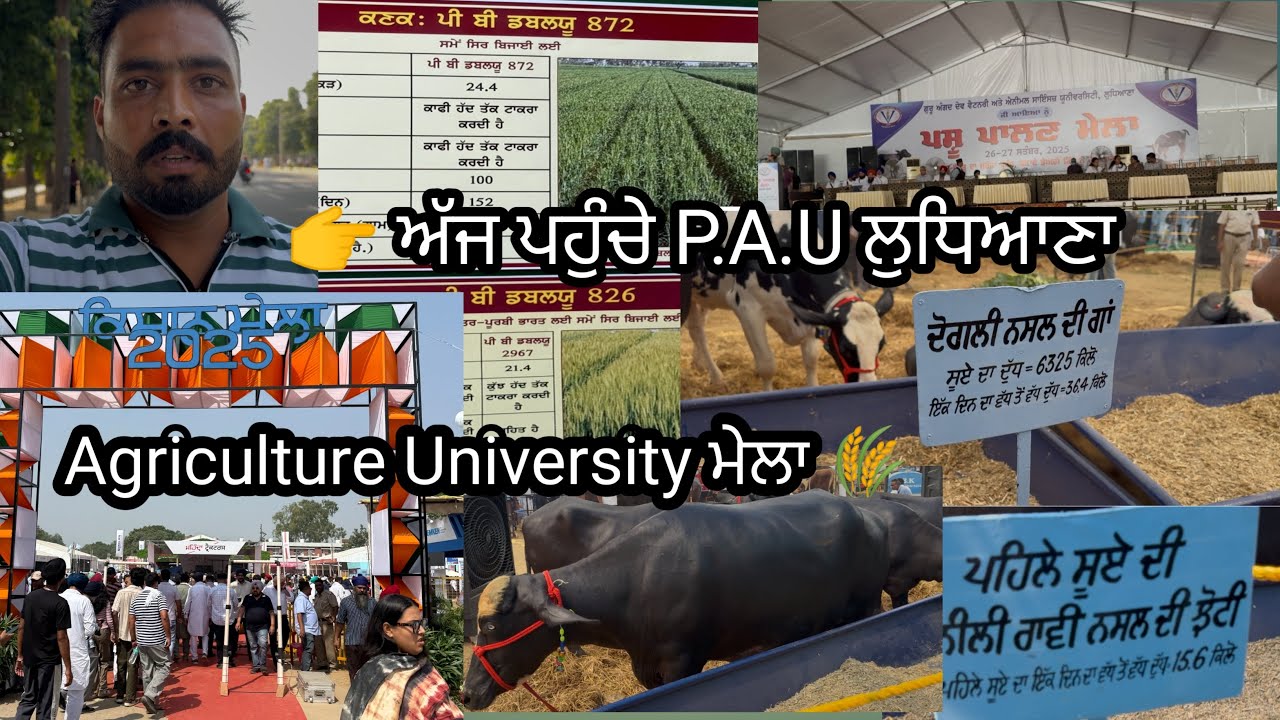 🌾PAU Agriculture Mela 2025 | Ludhiana Da Sab Ton Vadda Kisan Mela 🚜