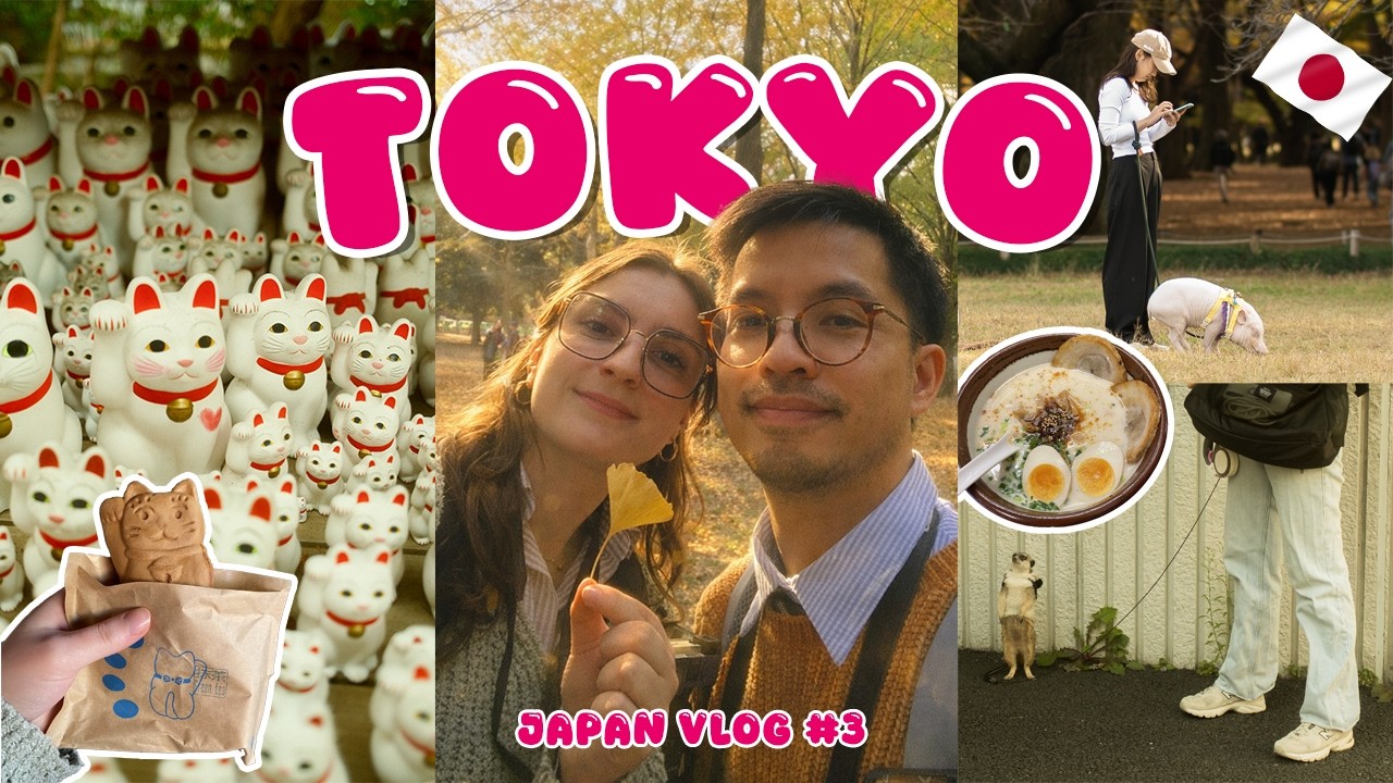 Vlog Tokyo : le temple des chats (Gotokuji) & notre premier ramen 🍜🐱